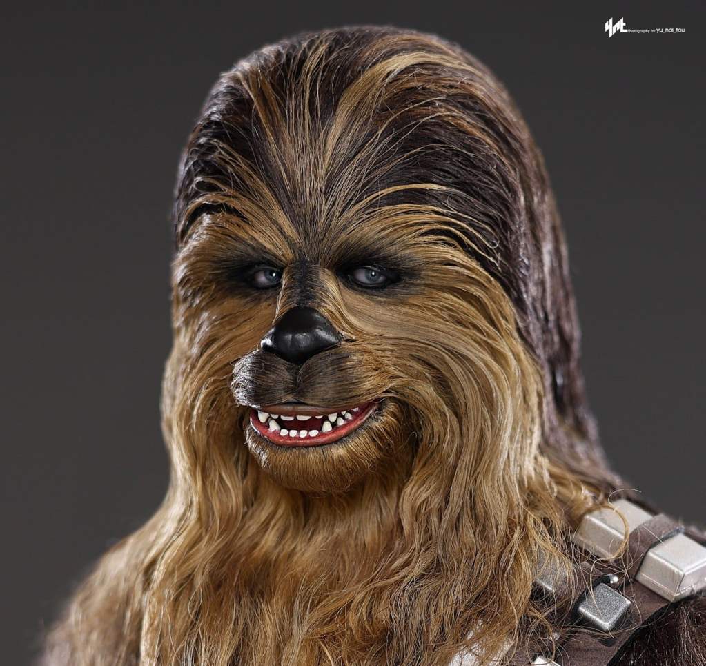 Hot Toys Chewbacca with Disassembled C-3PO: Blogger-Fotos veröffentlicht